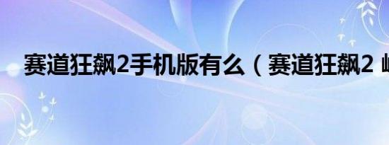 赛道狂飙2手机版有么（赛道狂飙2 峡谷）