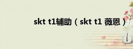 skt t1辅助（skt t1 薇恩）