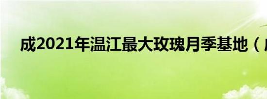 成2021年温江最大玫瑰月季基地（成2）