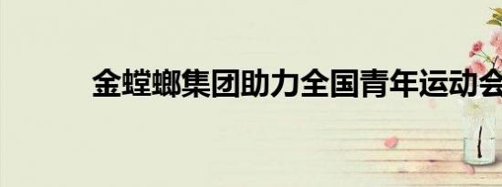 金螳螂集团助力全国青年运动会