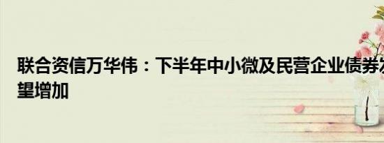 联合资信万华伟：下半年中小微及民营企业债券发行规模有望增加