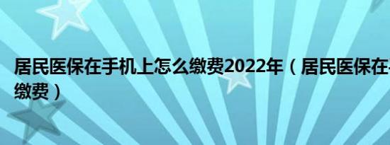 居民医保在手机上怎么缴费2022年（居民医保在手机上怎么缴费）