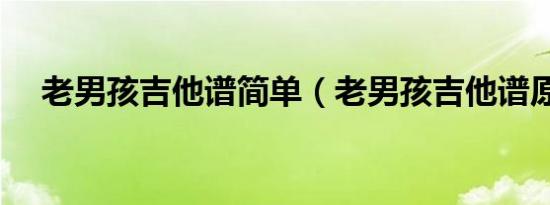 老男孩吉他谱简单（老男孩吉他谱原版）