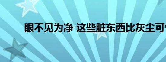 眼不见为净 这些脏东西比灰尘可怕