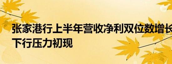 张家港行上半年营收净利双位数增长 资本金下行压力初现