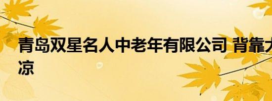 青岛双星名人中老年有限公司 背靠大树好乘凉