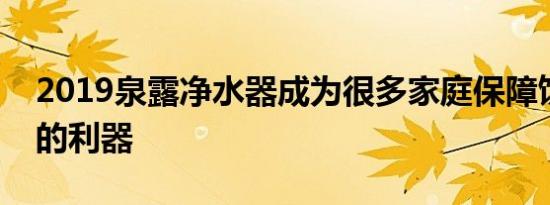 2019泉露净水器成为很多家庭保障饮水安全的利器