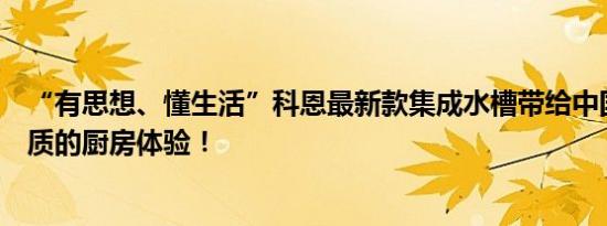 “有思想、懂生活”科恩最新款集成水槽带给中国家庭更优质的厨房体验！