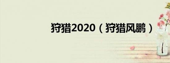 狩猎2020（狩猎风鹏）