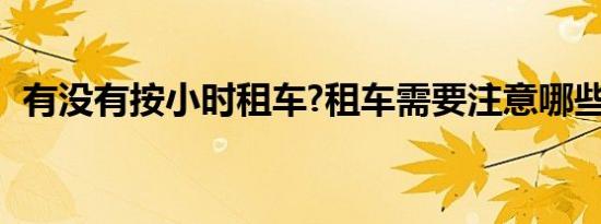 有没有按小时租车?租车需要注意哪些问题?