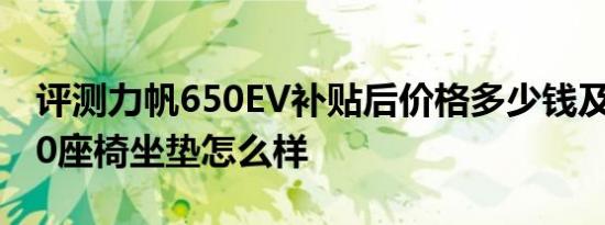 评测力帆650EV补贴后价格多少钱及秦EV450座椅坐垫怎么样