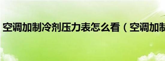 空调加制冷剂压力表怎么看（空调加制冷剂）