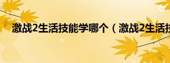 激战2生活技能学哪个（激战2生活技能）