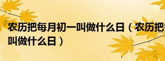 农历把每月初一叫做什么日（农历把每月初一叫做什么日）