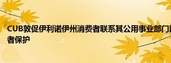 CUB敦促伊利诺伊州消费者联系其公用事业部门以获取消费者保护