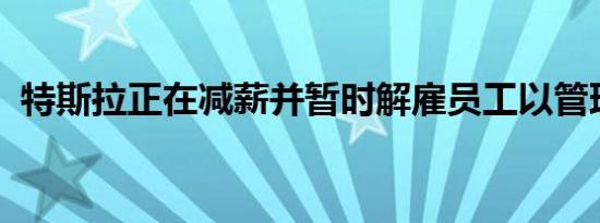 特斯拉正在减薪并暂时解雇员工以管理成本