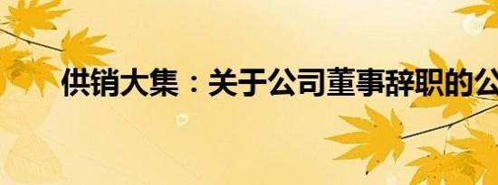 供销大集：关于公司董事辞职的公告