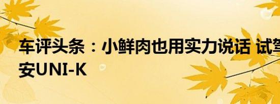 车评头条：小鲜肉也用实力说话 试驾全新长安UNI-K