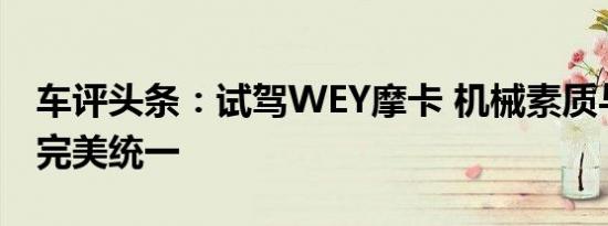 车评头条：试驾WEY摩卡 机械素质与科技的完美统一