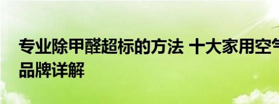 专业除甲醛超标的方法 十大家用空气净化器品牌详解