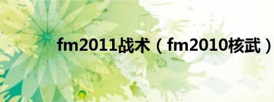 fm2011战术（fm2010核武）