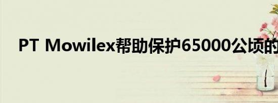 PT Mowilex帮助保护65000公顷的森林