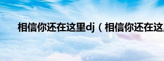 相信你还在这里dj（相信你还在这里）