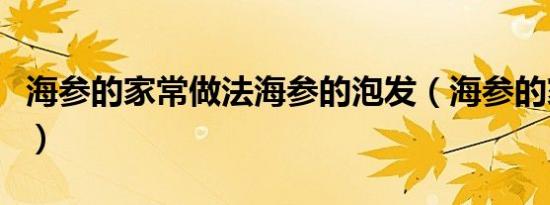 海参的家常做法海参的泡发（海参的家常做法）