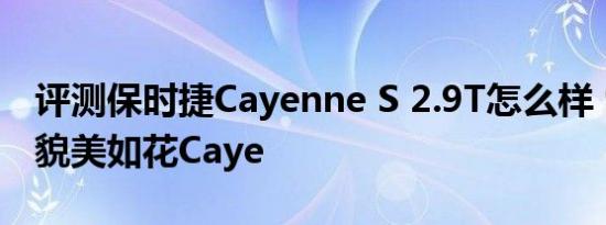 评测保时捷Cayenne S 2.9T怎么样 911负责貌美如花Caye