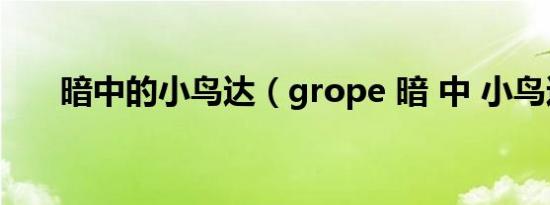 暗中的小鸟达（grope 暗 中 小鸟达）