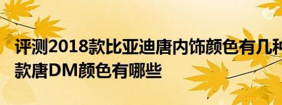 评测2018款比亚迪唐内饰颜色有几种及2018款唐DM颜色有哪些