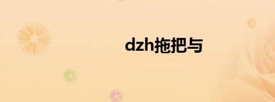 dzh拖把与