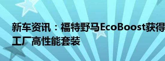 新车资讯：福特野马EcoBoost获得2020年工厂高性能套装