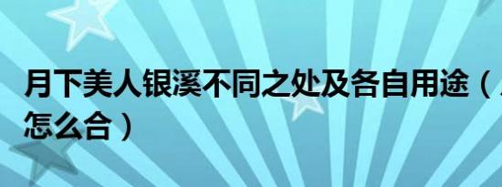 月下美人银溪不同之处及各自用途（月下美人怎么合）