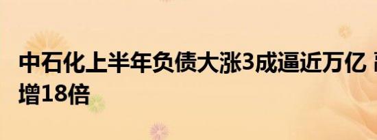 中石化上半年负债大涨3成逼近万亿 融资成本增18倍