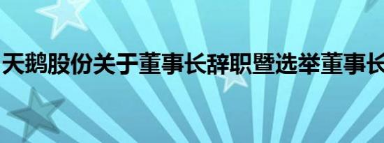 天鹅股份关于董事长辞职暨选举董事长的公告