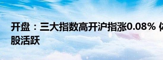 开盘：三大指数高开沪指涨0.08% 体育概念股活跃