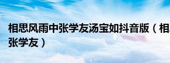 相思风雨中张学友汤宝如抖音版（相思风雨中张学友）