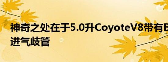 神奇之处在于5.0升CoyoteV8带有Boss302进气歧管