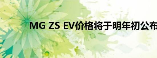 MG ZS EV价格将于明年初公布