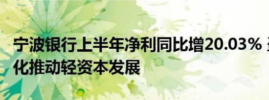 宁波银行上半年净利同比增20.03% 盈利多元化推动轻资本发展