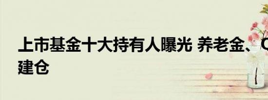 上市基金十大持有人曝光 养老金、QFII大举建仓