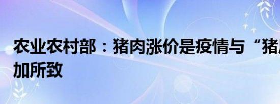 农业农村部：猪肉涨价是疫情与“猪周期”叠加所致