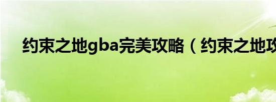 约束之地gba完美攻略（约束之地攻略）