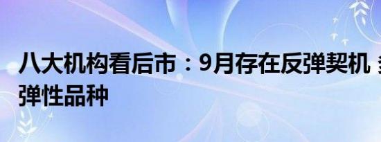 八大机构看后市：9月存在反弹契机 多做进攻弹性品种