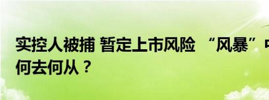 实控人被捕 暂定上市风险 “风暴”中的暴风何去何从？