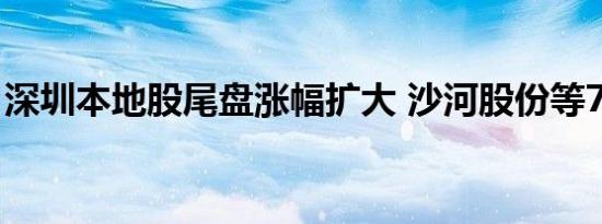 深圳本地股尾盘涨幅扩大 沙河股份等7股涨停