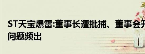 ST天宝爆雷:董事长遭批捕、董事会开战 财务问题频出