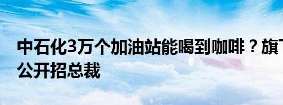 中石化3万个加油站能喝到咖啡？旗下便利店公开招总裁