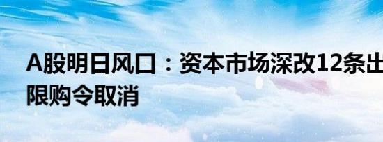 A股明日风口：资本市场深改12条出炉 外资限购令取消